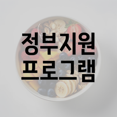 정부지원 프로그램