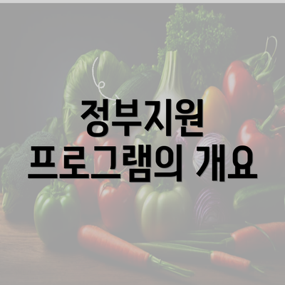 정부지원 프로그램의 개요