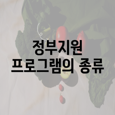 정부지원 프로그램의 종류