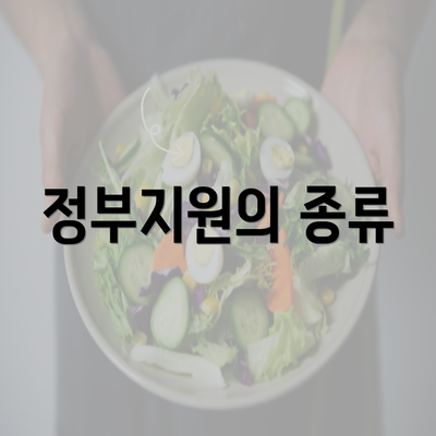 정부지원의 종류