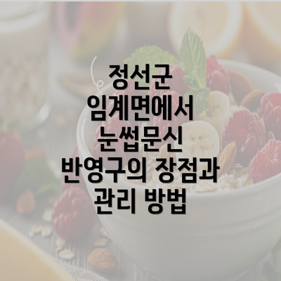 정선군 임계면에서 눈썹문신 반영구의 장점과 관리 방법