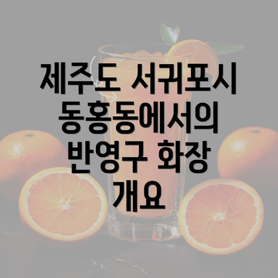 제주도 서귀포시 동홍동에서의 반영구 화장 개요