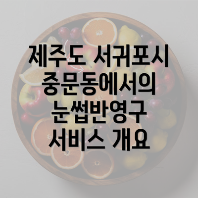 제주도 서귀포시 중문동에서의 눈썹반영구 서비스 개요