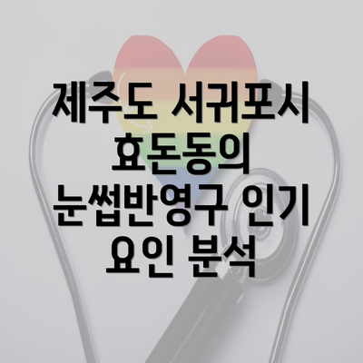 제주도 서귀포시 효돈동의 눈썹반영구 인기 요인 분석