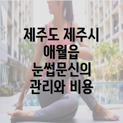 제주도 제주시 애월읍 눈썹문신의 관리와 비용