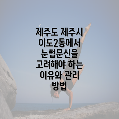 제주도 제주시 이도2동에서 눈썹문신의 인기 증가