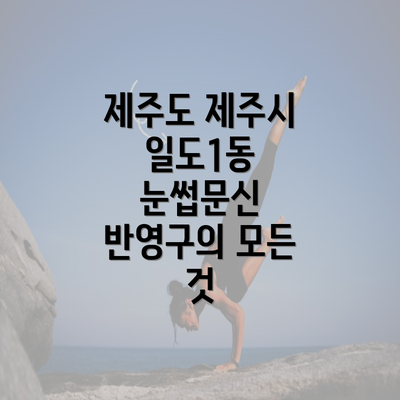 제주도 제주시 일도1동 눈썹문신 반영구의 모든 것