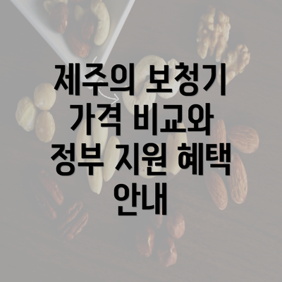 제주의 보청기 가격 비교와 정부 지원 혜택 안내