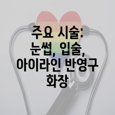 주요 시술: 눈썹, 입술, 아이라인 반영구 화장