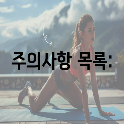 주의사항 목록: