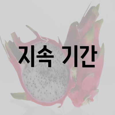 지속 기간