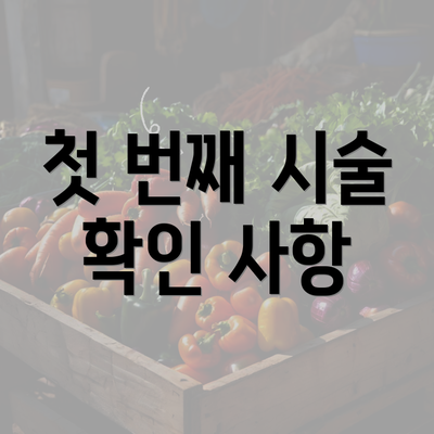 첫 번째 시술 확인 사항