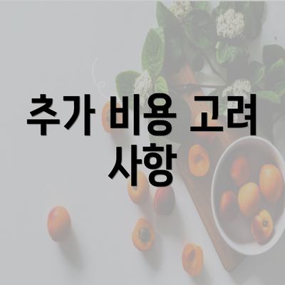 추가 비용 고려 사항