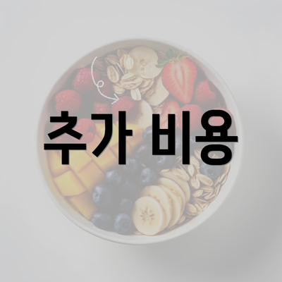 추가 비용