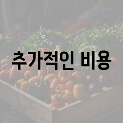 추가적인 비용