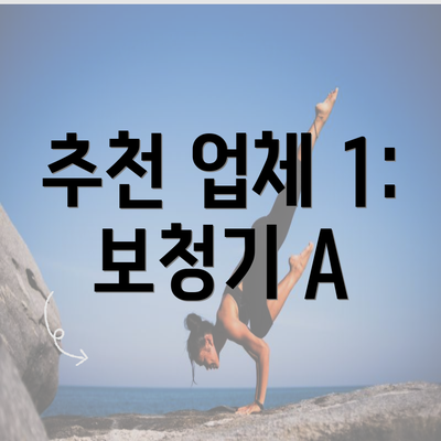 추천 업체 1: 보청기 A