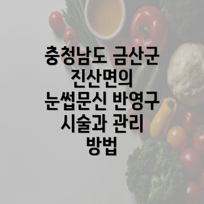 충청남도 금산군 진산면의 눈썹문신 반영구 시술과 관리 방법