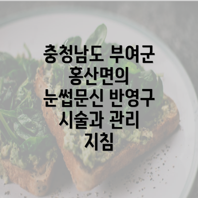 충청남도 부여군 홍산면의 눈썹문신 반영구 시술과 관리 지침