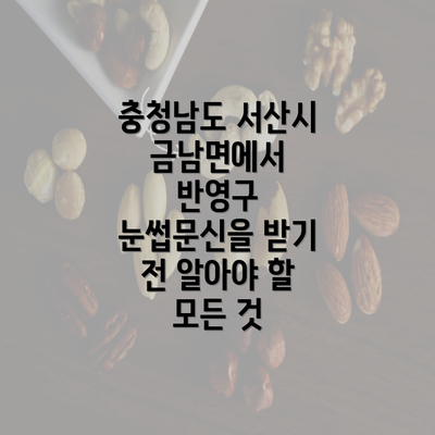 충청남도 서산시 금남면에서 반영구 눈썹문신을 받기 전 알아야 할 모든 것