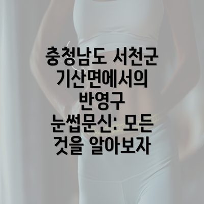 충청남도 서천군 기산면에서의 반영구 눈썹문신: 모든 것을 알아보자