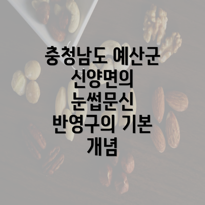 충청남도 예산군 신양면의 눈썹문신 반영구의 기본 개념