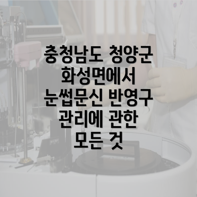 충청남도 청양군 화성면에서 눈썹문신 반영구 관리에 관한 모든 것