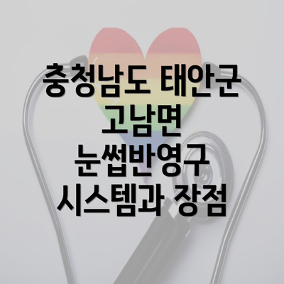 충청남도 태안군 고남면 눈썹반영구 시스템과 장점