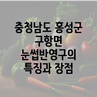 충청남도 홍성군 구항면 눈썹반영구의 특징과 장점