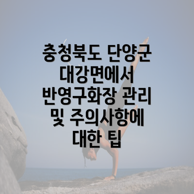 충청북도 단양군 대강면에서 반영구화장 타입별 추천