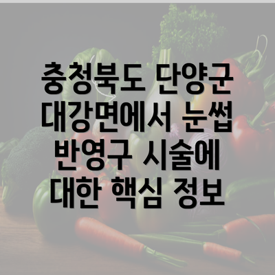 충청북도 단양군 대강면에서 눈썹 반영구 시술에 대한 핵심 정보