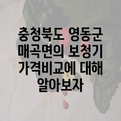 충청북도 영동군 매곡면의 보청기 가격비교에 대해 알아보자