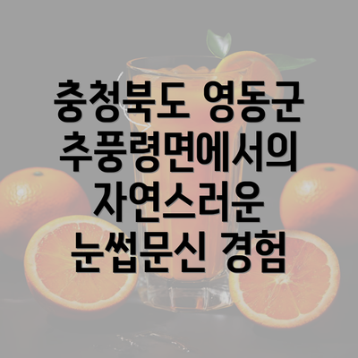 충청북도 영동군 추풍령면에서의 자연스러운 눈썹문신 경험