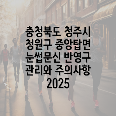 충청북도 청주시 청원구 중앙탑면 눈썹문신 반영구 관리와 주의사항 2025