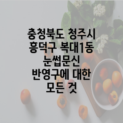 충청북도 청주시 흥덕구 복대1동 눈썹문신 반영구에 대한 모든 것