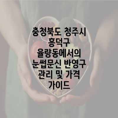 충청북도 청주시 흥덕구 율량동에서의 눈썹문신 반영구 관리 및 가격 가이드