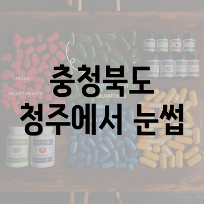 충청북도 청주에서 눈썹