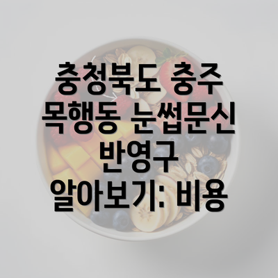 충청북도 충주 목행동 눈썹문신 반영구 알아보기: 비용