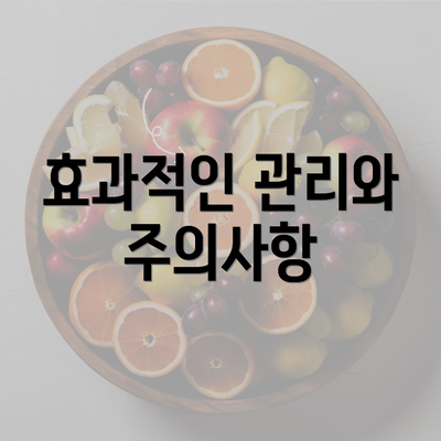 효과적인 관리와 주의사항