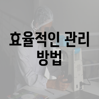 효율적인 관리 방법