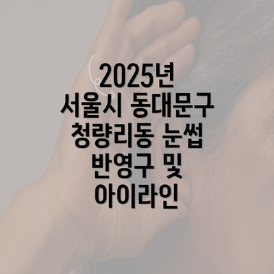 2025년 서울시 동대문구 청량리동 눈썹 반영구 및 아이라인