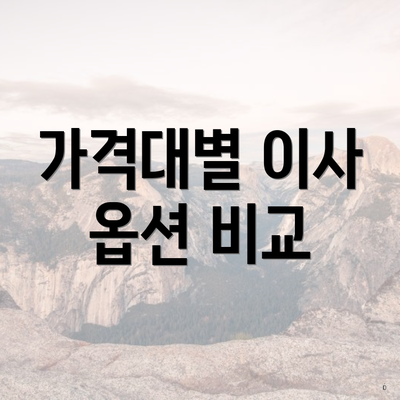 가격대별 이사 옵션 비교