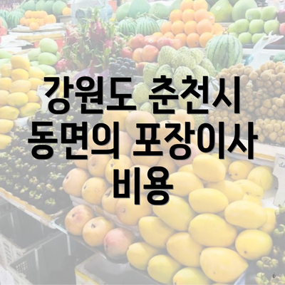 강원도 춘천시 동면의 포장이사 비용