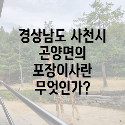 경상남도 사천시 곤양면의 포장이사란 무엇인가?