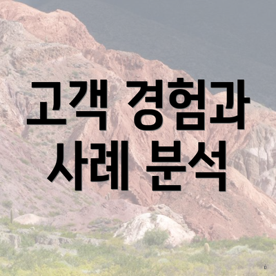 고객 경험과 사례 분석