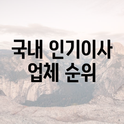 국내 인기이사 업체 순위