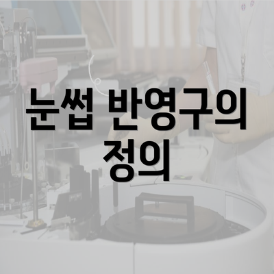 눈썹 반영구의 정의