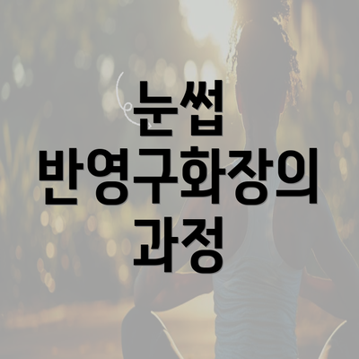 눈썹 반영구화장의 과정