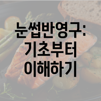 눈썹반영구: 기초부터 이해하기