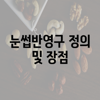 눈썹반영구 정의 및 장점