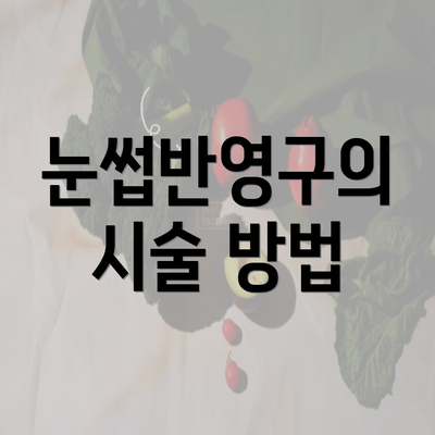 눈썹반영구의 시술 방법